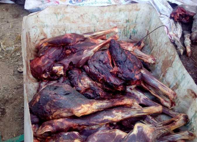 القبض على تاجر بحوزته 3 أطنان لحوم خيول وحمير وكلاب بالقاهرة