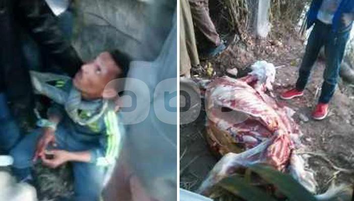 بالصور.. القبض على 4 جزارين أثناء القيام بذبح الحمير لبيعها بالمنوفية