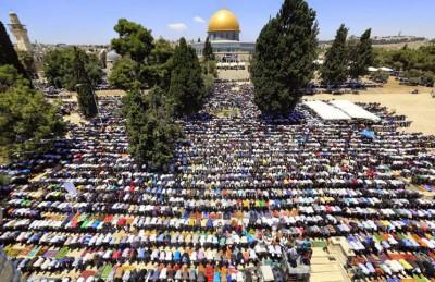 تقرير رسمي: عدد الفلسطينيين يصل 12 مليونًا بنهاية 2016