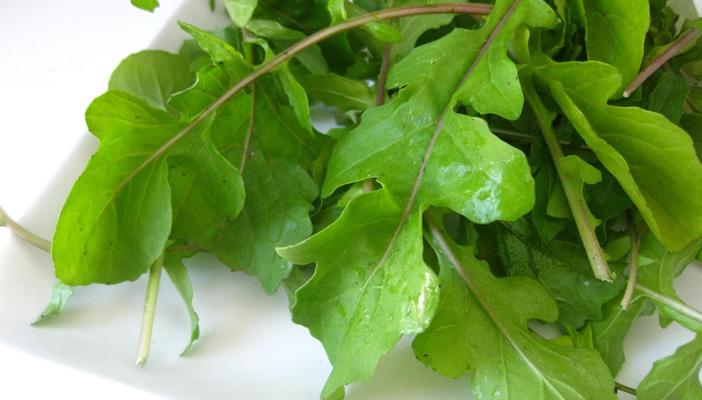 8 فوائد للجرجير يستفيد منها الجسم