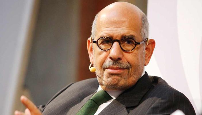 البرادعي: التعذيب الممنهج للمعتقلين جريمة ضد الإنسانية