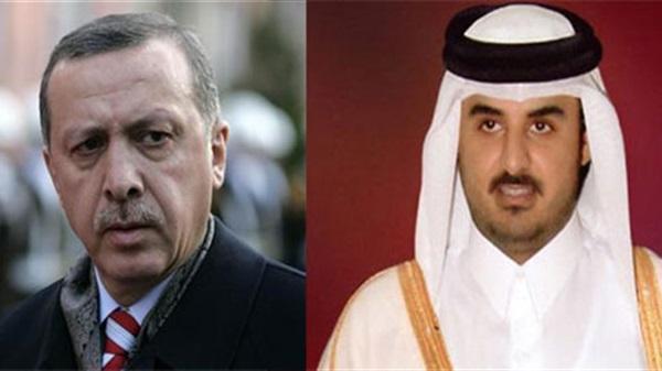 فيديو.. الدعم للتحالف ليس قطريًا وتركيًا فقط والانقلاب يشعر بأزمة