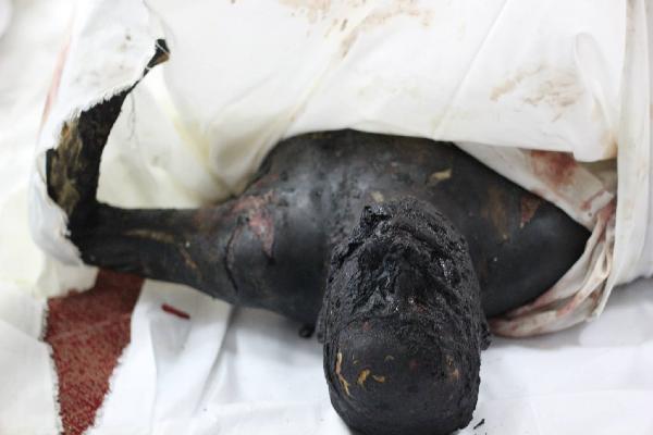 2013.. نصفها الأول حرية وآخرها دماء