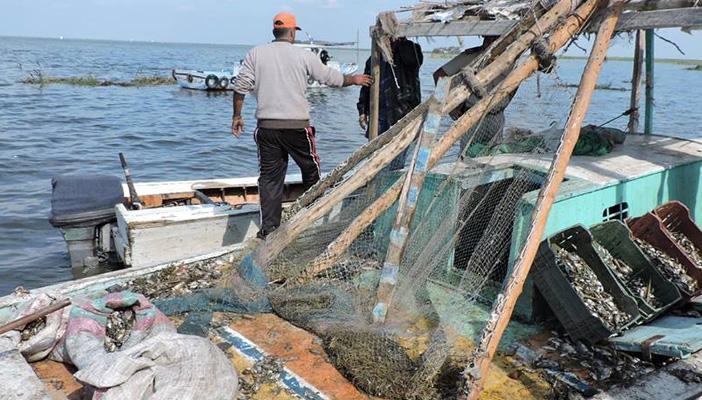 كفر الشيخ.. وقفات احتجاجية لصيادي بحيرة البرلس ضد “الصيد الجائر”