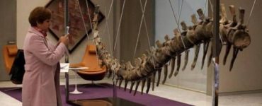 ديناصور مغربي