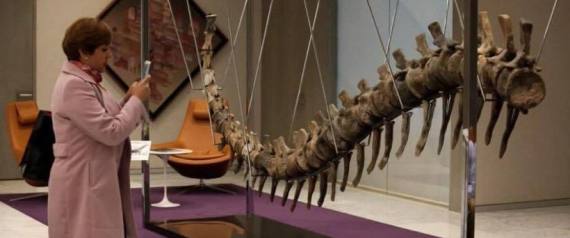 ديناصور مغربي